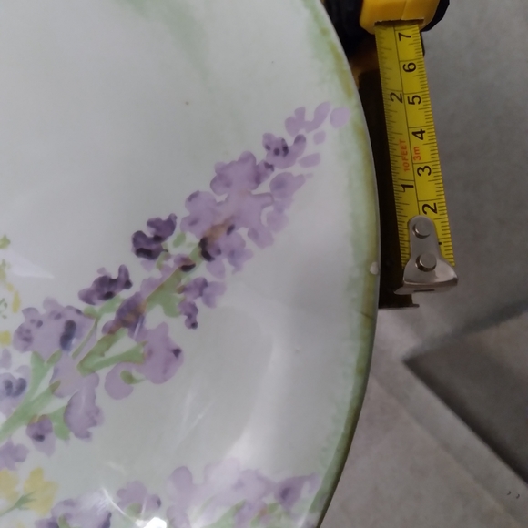 Dinner Plate - Picture 5 of 5